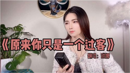 我只是一个过客,《原来你只是一个过客》