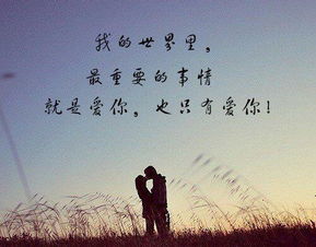 懂你歌表达爱情意思,女人发懂你歌什么意思