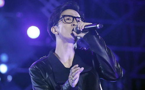 我听见了你的声音歌词,《我好像在哪见过你》歌曲