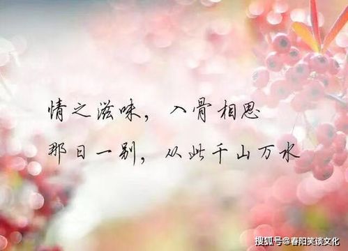 感慨生活不易心酸无奈的歌曲,说不出的压抑和心累的歌