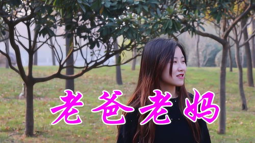 感恩父亲的歌曲20首，十首催泪父亲歌曲原唱