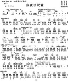 我叫小莫我今夜很寂寞歌词，dj小莫今天夜里好寂寞歌曲