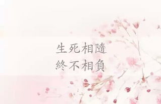 愿只愿迢迢遥遥是什么歌,一首古风歌什么迢迢我为你