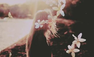 我愿成魔的经典语录,求魔最霸气的一句话