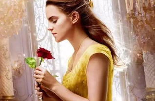 我是如此的相信这首歌表达的情感,我是如此相信这首歌表达什么意思