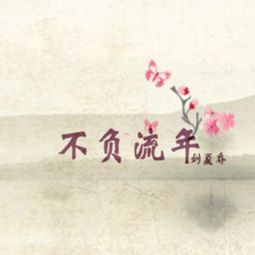 我愿用我一世繁华换你什么歌,《不负流年》的歌词