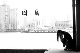 我是你的可有可无是什么歌,歌词里带可有可无的歌