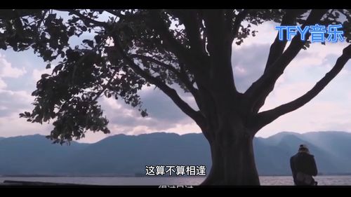 我吹过你吹过的风歌名叫什么,我吹过你吹过的风那算不算相拥