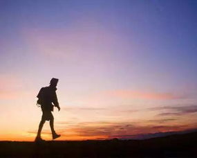 我唱着情歌一路向远方是什么歌,《一路前行》