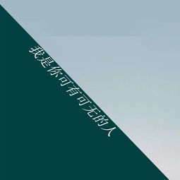 我是你的可有可无,我是你的可有可无是什么歌