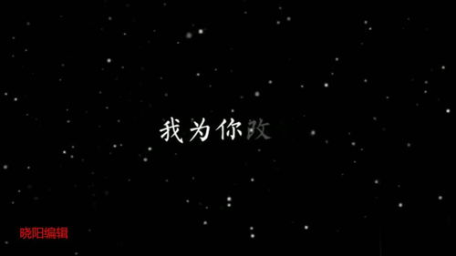 我愿意表达的什么意思,我愿意代表的什么情感