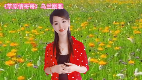 我有你的草原是什么歌,给我下载草原歌曲