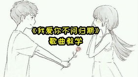 我爱你就像那飞蛾扑向火，歌曲《我爱你不问归期》