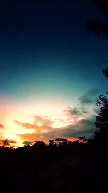 我想要天上的月亮和地上的霜歌词,《我要的》歌词