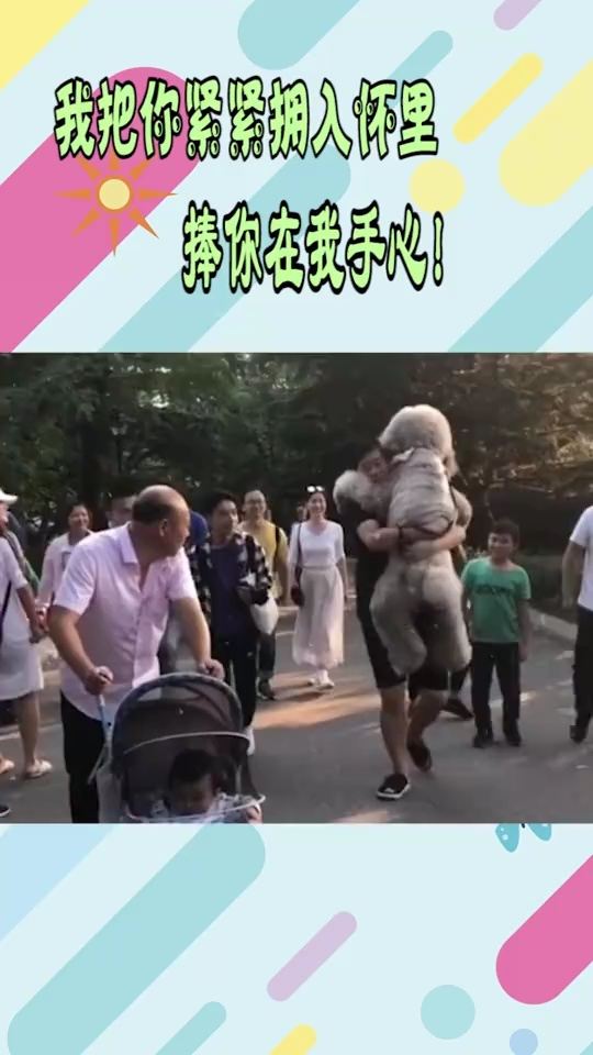 我把你紧紧拥入怀里捧你在我手心,我把你拥入怀中是什么歌