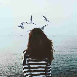 我如何忘记你的背影是什么歌,抖音很火的一首歌叫什么孤独