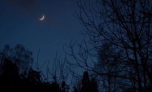 我愿做一只扑火的飞蛾,熊熊火中我是一只飞蛾永远不后悔