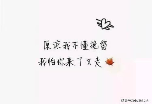 我吹着孤独的风表达什么情感,吹着孤独的风的伤感说说