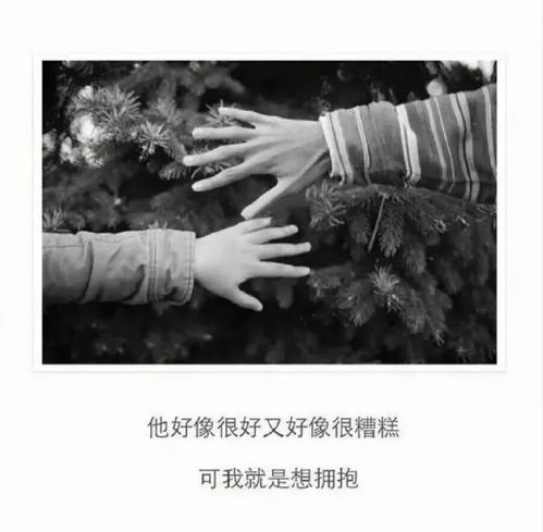 我把全部的爱都给了你原唱,只想陪你闯天涯原唱