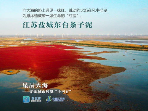 我曾经跨过高山越过大海,歌曲《星辰大海》原唱