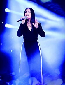 我是歌手一到八季冠军名单,我是歌手为什么停播了