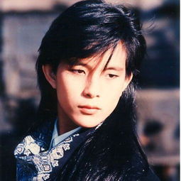 我曾用心爱着你 潘美辰,我想有个家MV潘美辰现场版视频