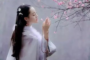 我愿一片两片片片思念,我愿两遍三遍天天想念是什么歌