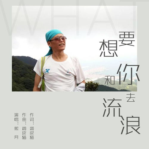 我想带你去流浪歌词，我要和你一起去流浪歌词