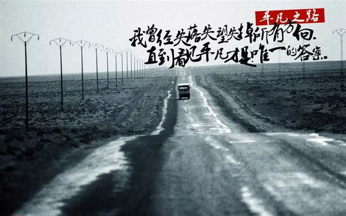我曾经跨过山和大海歌词,歌曲《平凡之路》