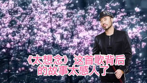 我怀念的这首歌表达了，我怀念的背后含义