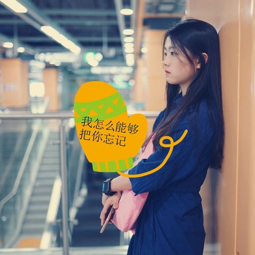 我怎么能够忘记你什么歌,歌词我怎么能够忘记你