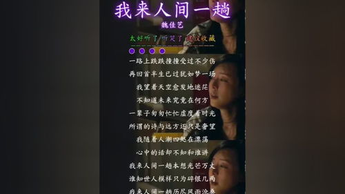 我来人间一趟歌背后寓意,我来人间一趟背后故事