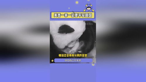 我希望你要快乐我希望你被爱着,我希望你被爱着歌词