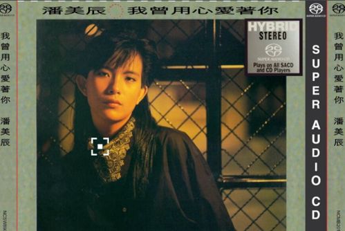 我曾经用心爱着你歌词,曾经用心爱着你甄妮