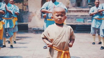 我在嵩山少林学武功,小孩唱的嵩山少林学武功