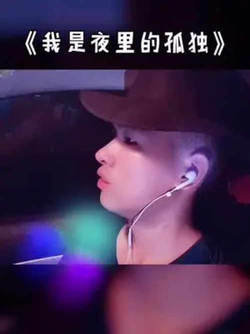 我是夜里的孤独原唱大美,歌曲原唱如果心酸藏不住