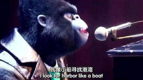 我爱你我心里属于你今生今世不移,爱你一万年伍佰