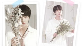 我总是偷偷地哭泣像倦鸟失了归期,我偷偷的哭泣 像厌倦归期