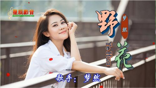 我是一只随风飘摇的野花原唱,哪怕笑我是傻瓜是什么歌曲