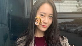 我在等某年某月的某一天,歌词等到那某年某月某一天