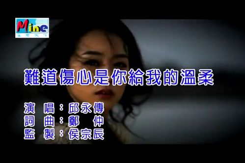 我总是偷偷的哭泣dj,难道伤心是你给我的温柔Dj