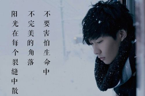 我愿陪你到白头什么歌,歌词中有一句到白头的歌曲