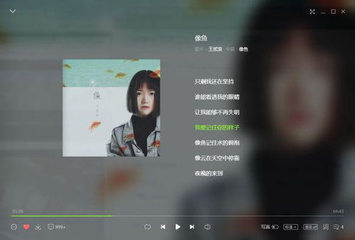 我已经记不清你的样子,我快忘了你的样子什么歌