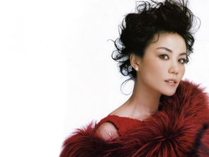 我是你最美的花原唱,王菲我是你最美的花原唱视听