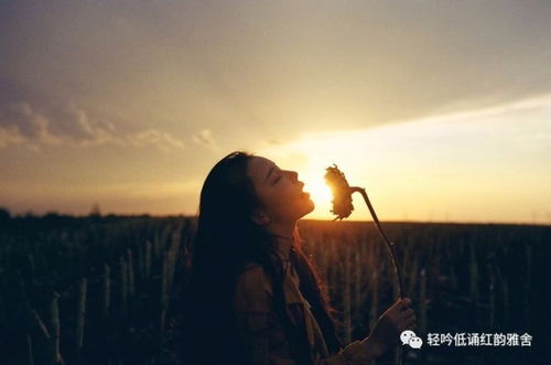 我在红尘中遇见你的含义，红尘中遇见了你表达的情感