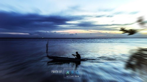 我曾经越过高山越过大海歌词,我曾经跨过山河大海也穿过