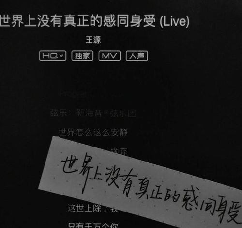 我本人这首歌表达了什么意思,我明知这首歌词的含义