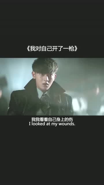 我对着自己开了一枪歌词,我是来揍你的歌词