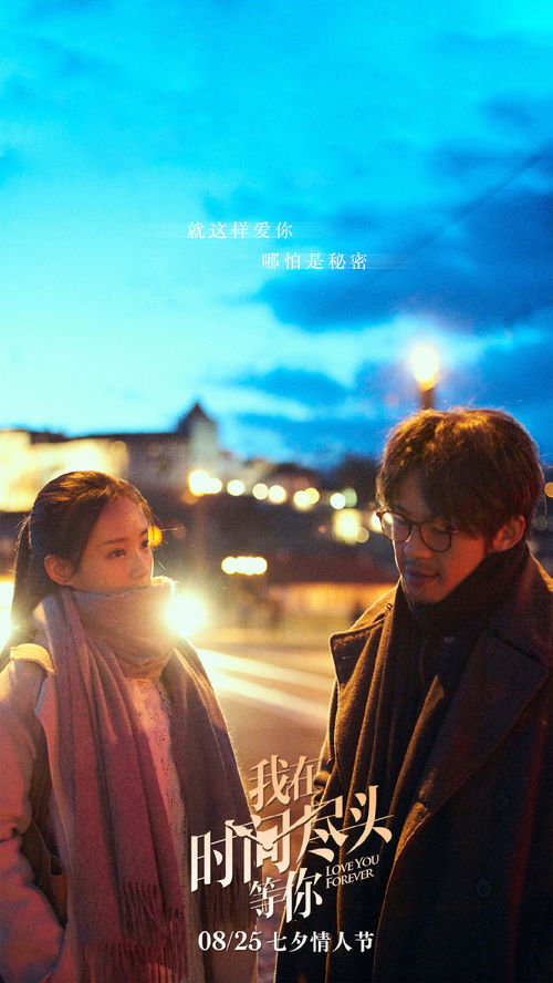 我在时间尽头等你烂片,电影《我在时间尽头等你》