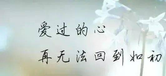 我愿两天三天天天想念,我愿一片两片片片思念